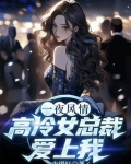 女总裁爱上我的小说