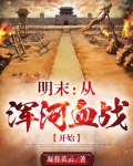 明末浑河血战小说