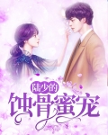 陆少宠你入骨全文免费阅读