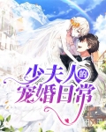 书名:少夫人她惊艳全球了