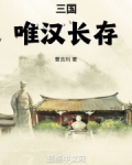 三国唯汉长存免费阅读