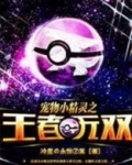 宠物小精灵之冠军