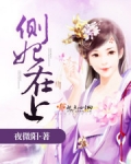 侧妃在上故事梗概