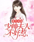重生民国:少帅夫人不好惹林冉