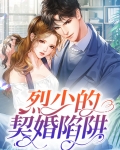 小说厉少的契约宠妻