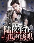 闪婚蜜爱陆总宠妻无底线阅读