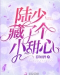 陆少他藏了个小甜心