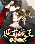 妖孽王爷特工妃