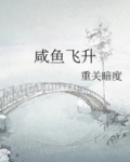 咸鱼飞升