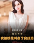 相亲失败,我被校花叫去了民政局免费听书