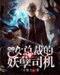 冰山女总裁的妖孽司机 小说