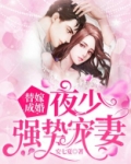 替嫁成婚:夜少强势宠妻在线阅读