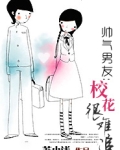帅气校霸和呆萌校花的小说