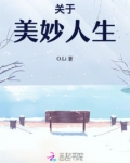关于美妙人生