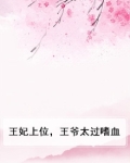 王妃在上王爷狠会宠