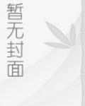 大宋首都是开封吗