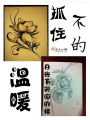 抓不住的温柔和汇慧