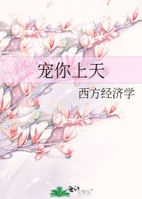宠你上天完整版