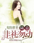 危险甜婚免费阅读全文