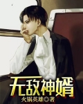 无敌神婿叶辰