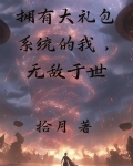 我有超级大礼包 小说txt
