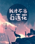 这白莲花女配我不当了的小说