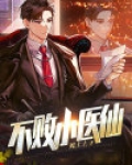 不败医仙苏落免费阅读