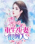 重生小甜妻老公缠上瘾
