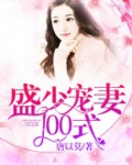 盛少宠妻100式