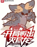 宝可梦，开局孵出灭尽龙