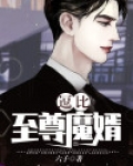 逗比至尊魔婿小说