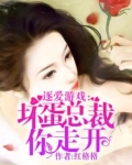 逐爱游戏:坏蛋总裁你走开 小说