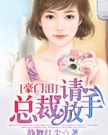豪门泪：总裁，请放手！