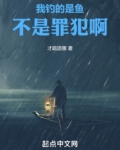 我是钓鱼的是什么意思