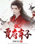 红楼之贾府弃子封侯txt