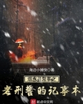烟水寻常事之老刑警的记事本 海边小捕快