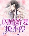 闪婚娇妻花样宠小说