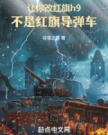 让你改红旗h9,不是红旗导弹车免费