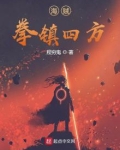 海贼：拳镇四方