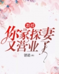 教授你老婆热搜又爆了免费阅读