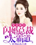 宠妻成狂:闪婚总裁太霸道 小说