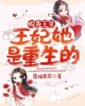 报告王爷王妃要和离免费观看