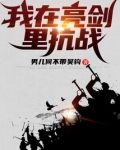 我在亮剑里抗战
