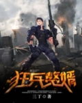 狂兵赘婿短剧演员表