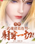 斗罗：武魂诸葛连弩，射穿一切！