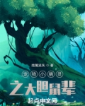 宠物小精灵大胆性格