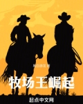 牧场王崛起小说