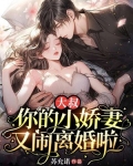 大叔，你的小娇妻又闹离婚啦