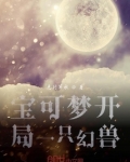 精灵宝可梦开局一只