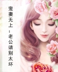 宠妻上瘾老公别撩了免费阅读